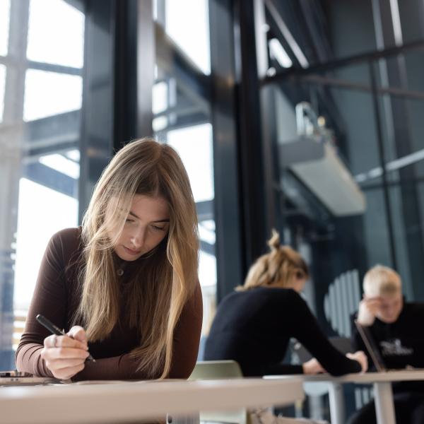 Kas tunned eesti keele krutskitega väljendeid?