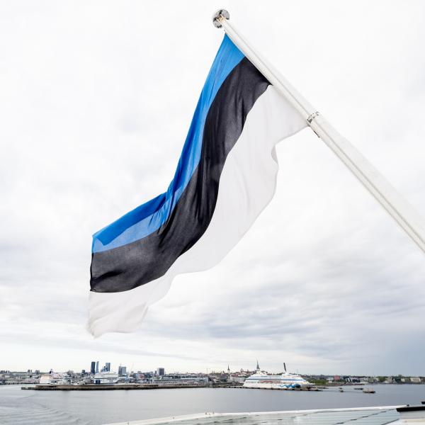 Üks riik, kaks tähtpäeva: mida eestlased 20. augustil tähistavad?